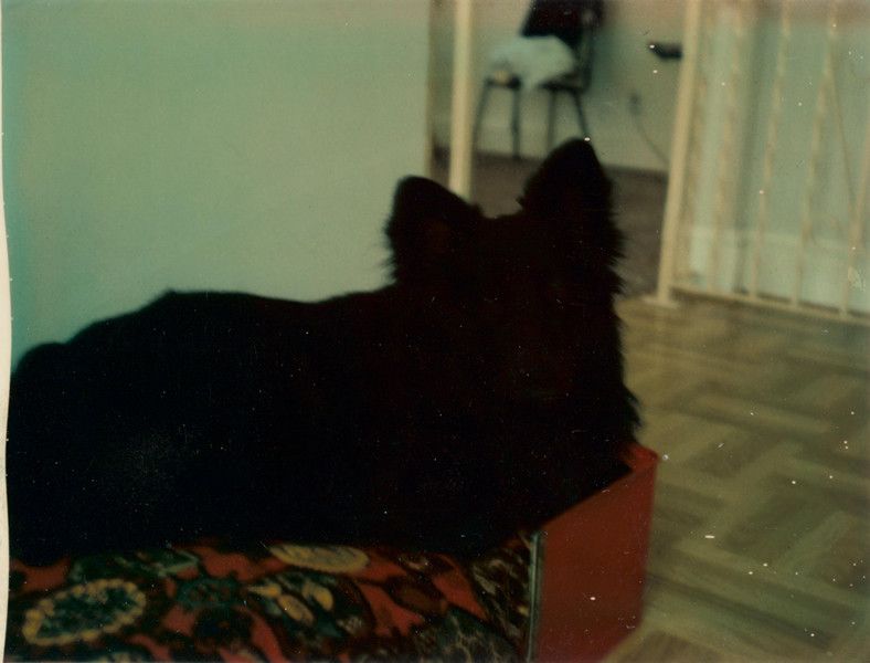 8e9fcbc4d6f5c9345ac7b091511cb619